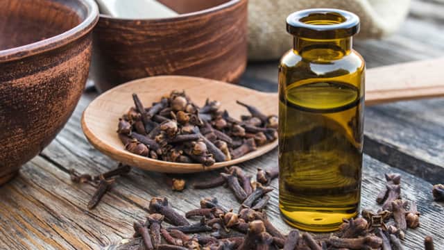 CLOVE OIL.jpg